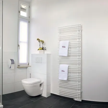 Ziegler & Restaurant 3* לינדאו