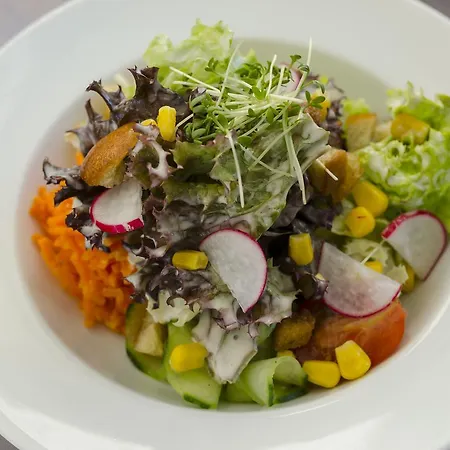 מלון Ziegler & Restaurant 3*